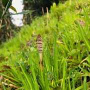 ヒメ日記 2026/03/06 10:49 投稿 水野 まき ベストマダム