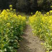 ヒメ日記 2026/03/08 10:54 投稿 水野 まき ベストマダム