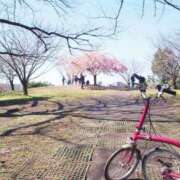 ヒメ日記 2026/03/11 08:17 投稿 水野 まき ベストマダム