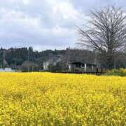 ヒメ日記 2026/03/28 09:10 投稿 水野 まき ベストマダム