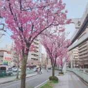 ヒメ日記 2026/03/29 10:55 投稿 水野 まき ベストマダム