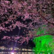 ヒメ日記 2026/04/06 16:35 投稿 水野 まき ベストマダム