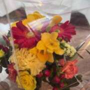 いのり 本当に申し訳ございません 奥様特急長岡店