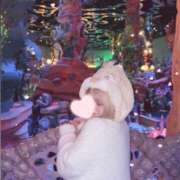 ヒメ日記 2024/12/23 20:15 投稿 みみこ はちみつ