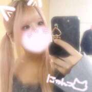 ヒメ日記 2025/01/05 21:36 投稿 みみこ はちみつ