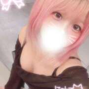 ヒメ日記 2025/05/08 14:38 投稿 みみこ はちみつ