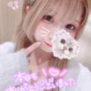 ヒメ日記 2025/06/17 14:14 投稿 みみこ はちみつ