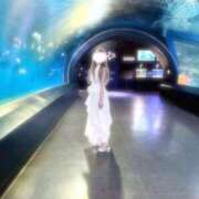 ヒメ日記 2025/06/20 12:53 投稿 みみこ はちみつ