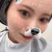 ヒメ日記 2025/03/23 12:25 投稿 しほ 性の極み 技の伝道師 ver. 匠