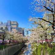 ヒメ日記 2025/04/05 10:21 投稿 しほ 性の極み 技の伝道師 ver. 匠