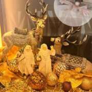 ヒメ日記 2025/11/24 09:05 投稿 しほ 性の極み 技の伝道師 ver. 匠