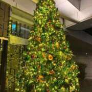 ヒメ日記 2025/11/27 22:45 投稿 しほ 性の極み 技の伝道師 ver. 匠