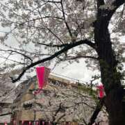 ヒメ日記 2025/04/04 20:47 投稿 あや【三吉彩花似完未】 STELLA TOKYO－ステラトウキョウ－