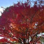 ヒメ日記 2025/12/02 17:42 投稿 ユリ【ヘルス】 マネキン神宮店