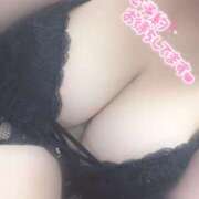 ヒメ日記 2026/02/22 12:03 投稿 めろ ちゃんこ藤沢茅ヶ崎店