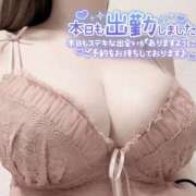 ヒメ日記 2026/03/29 12:38 投稿 Ｓhiro(しろ) AMATERAS(アマテラス)(福山)