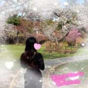 ヒメ日記 2025/03/10 20:46 投稿 ふう☆ CLUB PIAA