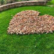 ヒメ日記 2025/04/13 09:47 投稿 ふう☆ CLUB PIAA