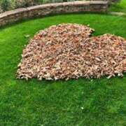 ヒメ日記 2025/04/13 10:07 投稿 ふう☆ CLUB PIAA