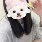 ヒメ日記 2025/04/09 10:15 投稿 りり アラビアンナイト