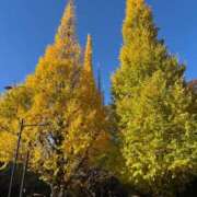 ヒメ日記 2025/11/28 17:03 投稿 りり アラビアンナイト