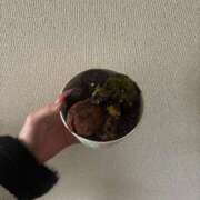 ヒメ日記 2026/02/26 15:08 投稿 りり アラビアンナイト