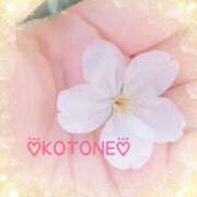 ヒメ日記 2025/04/08 12:50 投稿 琴音(ことね) MERMAID～マーメイド～