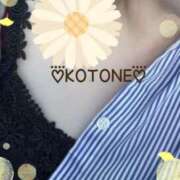 ヒメ日記 2025/09/25 12:15 投稿 琴音(ことね) MERMAID～マーメイド～