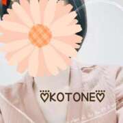 ヒメ日記 2025/11/03 07:57 投稿 琴音(ことね) MERMAID～マーメイド～