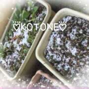 ヒメ日記 2026/02/07 12:16 投稿 琴音(ことね) MERMAID～マーメイド～