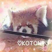 ヒメ日記 2026/04/18 12:59 投稿 琴音(ことね) MERMAID～マーメイド～