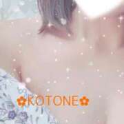ヒメ日記 2026/08/11 08:15 投稿 琴音(ことね) MERMAID～マーメイド～