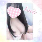 ヒメ日記 2024/12/27 14:06 投稿 かえで 立川ちゃんこ