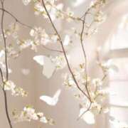 ヒメ日記 2025/06/09 17:13 投稿 わか 大奥 梅田店