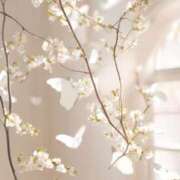 ヒメ日記 2025/06/09 17:25 投稿 わか 大奥 梅田店