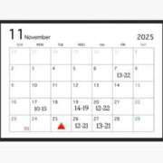 ヒメ日記 2025/11/07 11:41 投稿 わか 大奥 梅田店