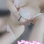 ヒメ日記 2025/04/08 12:05 投稿 みかさ 帯広アニバーサリー