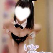 ヒメ日記 2025/06/06 08:45 投稿 みかさ 帯広アニバーサリー