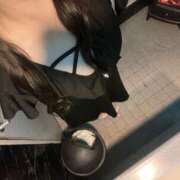 ヒメ日記 2025/08/19 22:34 投稿 あや パイの巣