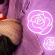 ヒメ日記 2025/03/12 11:00 投稿 ポン ドMなバニーちゃん大宮店