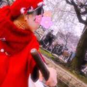 ヒメ日記 2025/04/11 11:01 投稿 ポン ドMなバニーちゃん大宮店