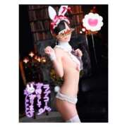 ヒメ日記 2025/04/30 09:00 投稿 ポン ドMなバニーちゃん大宮店