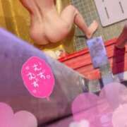 ヒメ日記 2025/08/12 11:00 投稿 ポン ドMなバニーちゃん大宮店