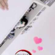 ヒメ日記 2025/08/21 07:15 投稿 ポン ドMなバニーちゃん大宮店