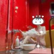 ヒメ日記 2025/10/25 17:00 投稿 ポン ドMなバニーちゃん大宮店