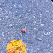 ヒメ日記 2025/11/20 09:15 投稿 ポン ドMなバニーちゃん大宮店