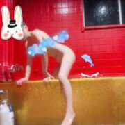 ヒメ日記 2025/12/16 11:00 投稿 ポン ドMなバニーちゃん大宮店