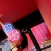 ヒメ日記 2026/02/19 11:00 投稿 ポン ドMなバニーちゃん大宮店