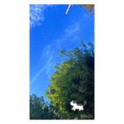 ヒメ日記 2026/03/01 09:10 投稿 ポン ドMなバニーちゃん大宮店