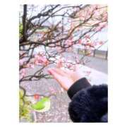 ヒメ日記 2026/03/03 07:15 投稿 ポン ドMなバニーちゃん大宮店